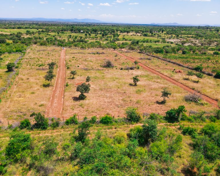 The Orchard Matuu phase 1