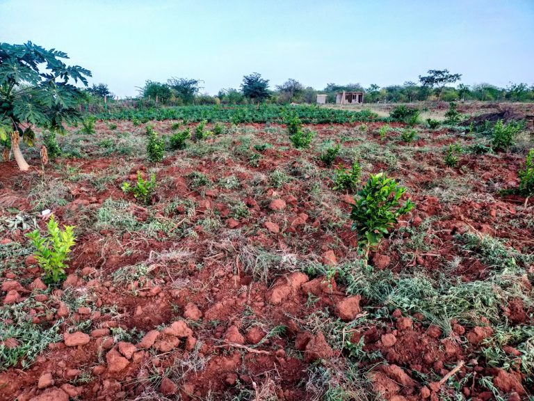 The Orchard Matuu Phase 2