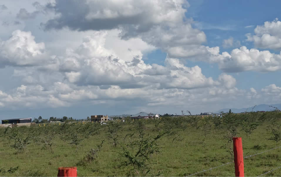 properties