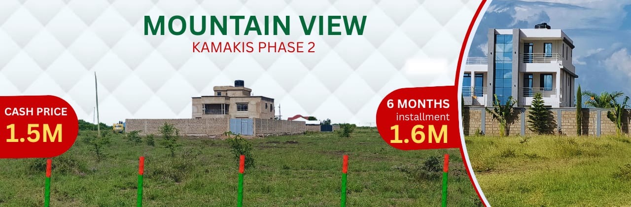 Mountain View Kamakis Phase 2